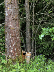 Similar image 21858559