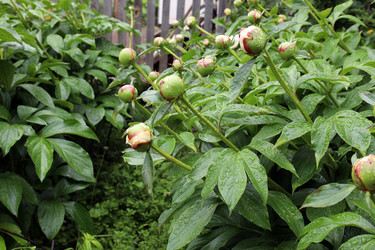 Similar image 21858250