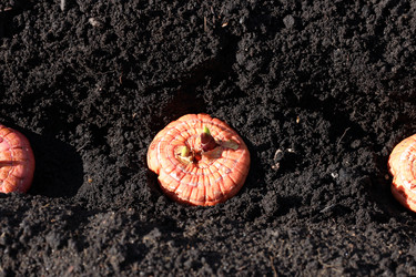 Similar image 21858253