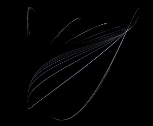 Similar image 21867683