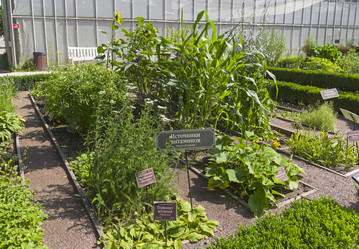 Similar image 21858265