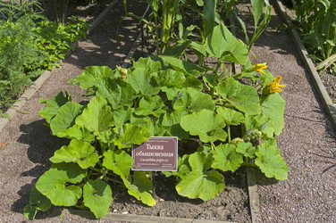 Similar image 21858266