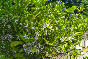 Similar image 21858270