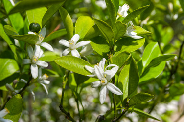 Similar image 21858271