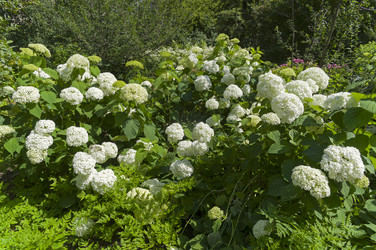 Similar image 21858272