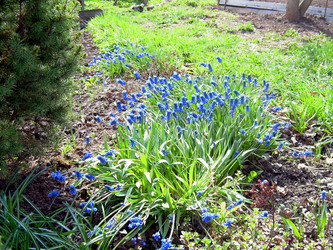 Similar image 21873308