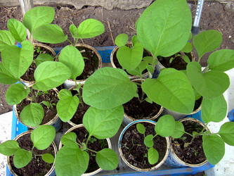 Similar image 21873309