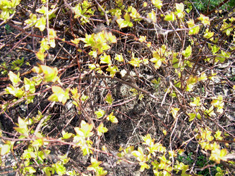 Similar image 21873310