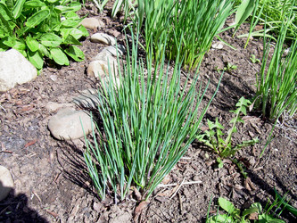 Similar image 21873312