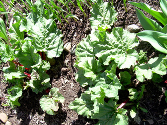 Similar image 21873314