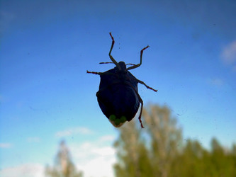 Similar image 21873315