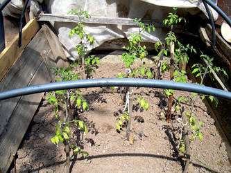 Similar image 21873317