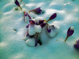 Similar image 21873079