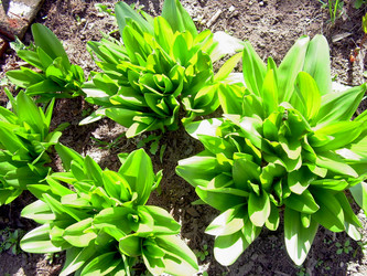 Similar image 21873080