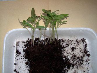 Similar image 21873087