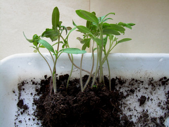 Similar image 21873088