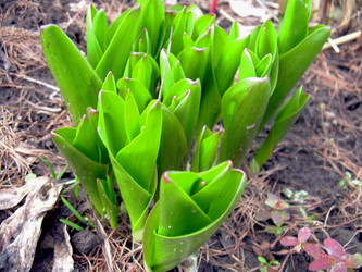 Similar image 21873089