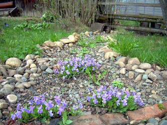 Similar image 21873092