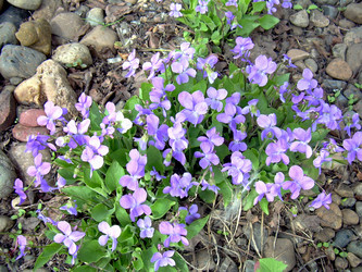 Similar image 21873094