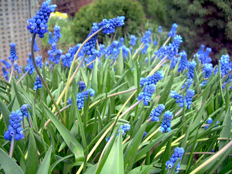 Similar image 21873095