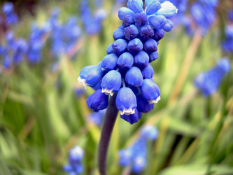 Similar image 21873096