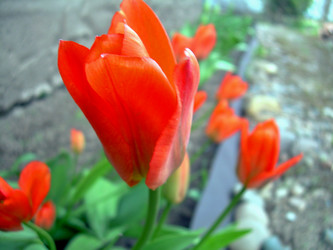 Similar image 21873097