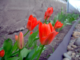 Similar image 21873098