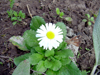 Similar image 21873099