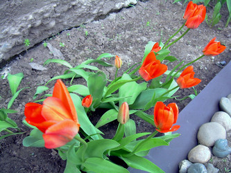 Similar image 21873100