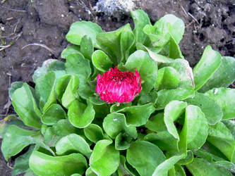 Similar image 21873101