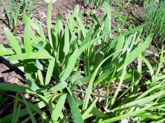 Similar image 21873102