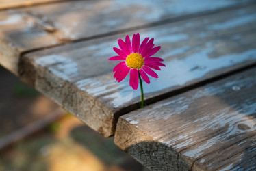 Similar image 21865638