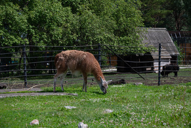 Similar image 21865639