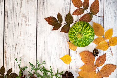 Similar image 21865641