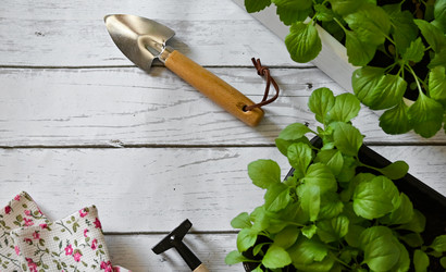 Similar image 21865643