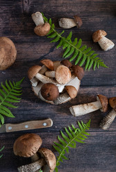 Similar image 21865647