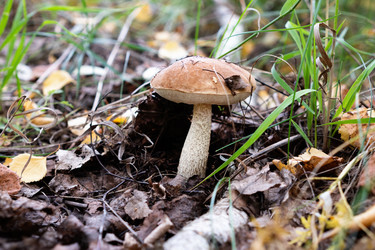 Similar image 21865648