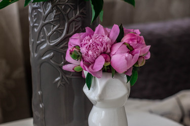 Similar image 21858279