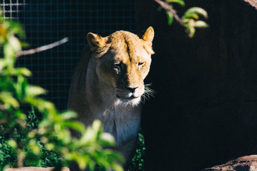 Similar image 21858280