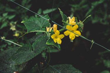 Similar image 21858281