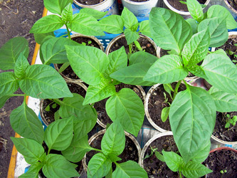 Similar image 21873104