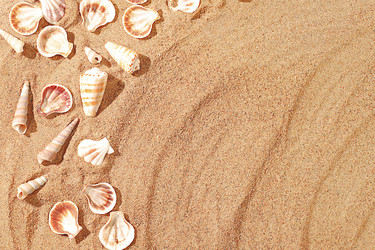 Similar image 21865562