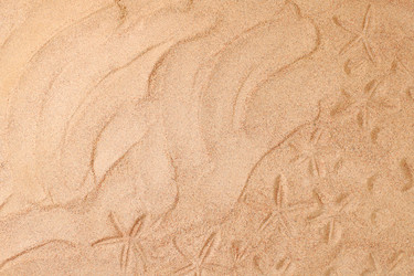 Similar image 21865564