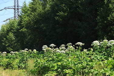 Similar image 21865576