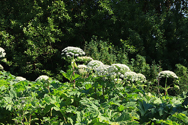 Similar image 21865577