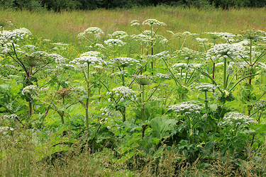 Similar image 21865578