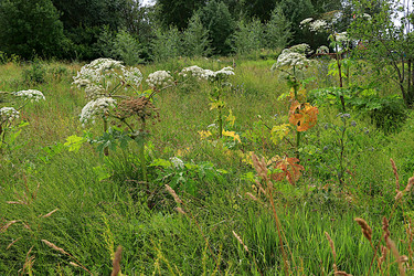 Similar image 21865579