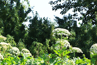 Similar image 21865580