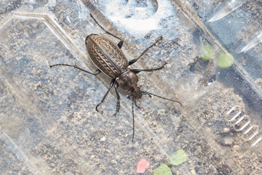 Similar image 21858560