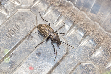 Similar image 21858561